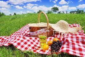 Sunday Soiree - Picnic on the Farm